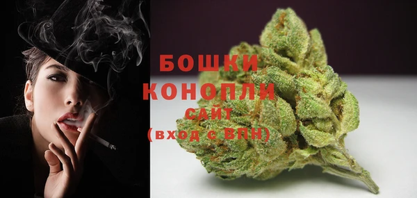 дурь Арсеньев