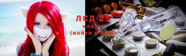 трава Армянск