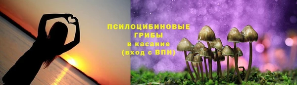 дурь Арсеньев