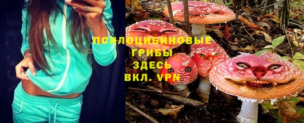 Альфа ПВП Балахна
