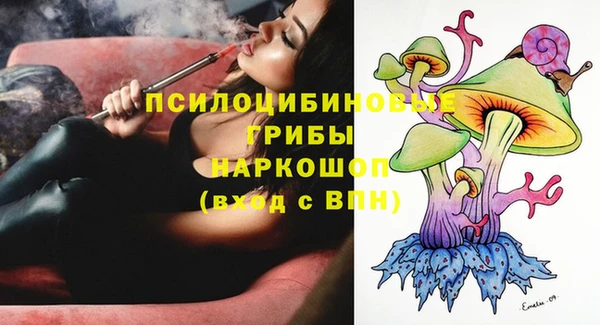 трава Армянск