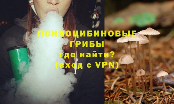 дурь Арсеньев