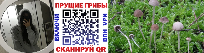 Галлюциногенные грибы прущие грибы Купить Барыш