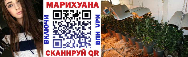 МАРИХУАНА сатива  Купить закладки  Барыш 